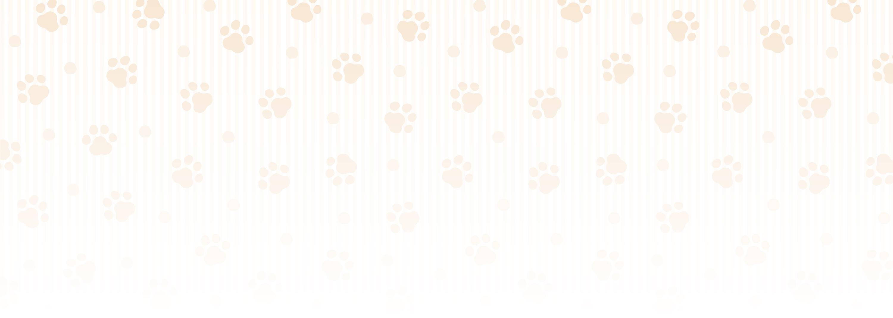 ご購入から住めるまで!!まるごとお任せ!!