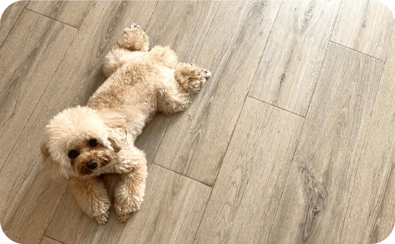 ワンちゃん・ネコちゃんが滑りづらい床に！