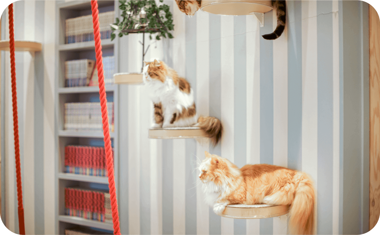 わんぱくOK！キズに強いクロスでストレスフリーなお部屋へ