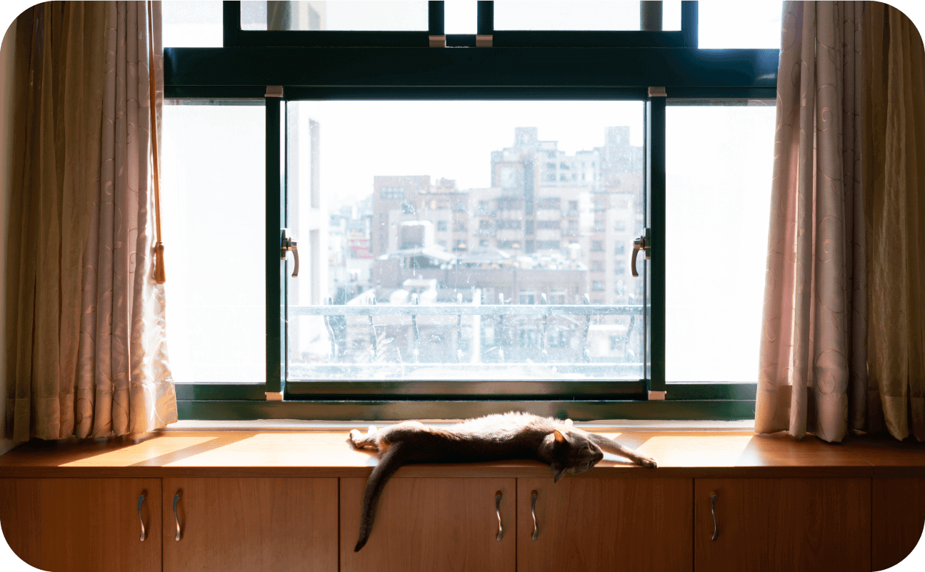 エアコン効率UP！ペットの快適を守る節電対策。